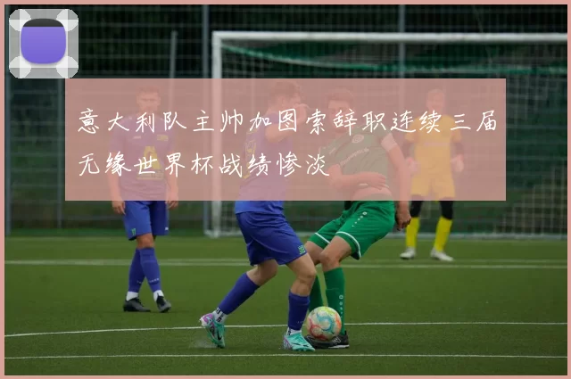 意大利队主帅加图索辞职连续三届无缘世界杯战绩惨淡