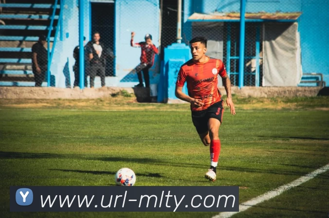 米兰体育平台生态图